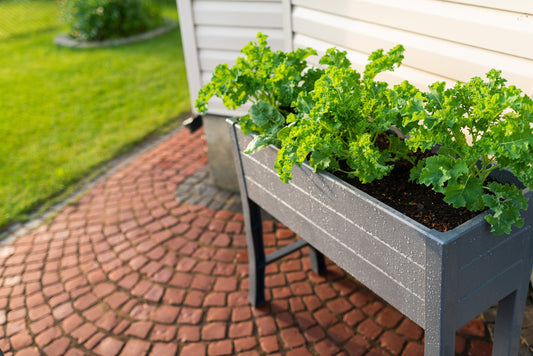What is a planter box, and why would I want one in my garden?