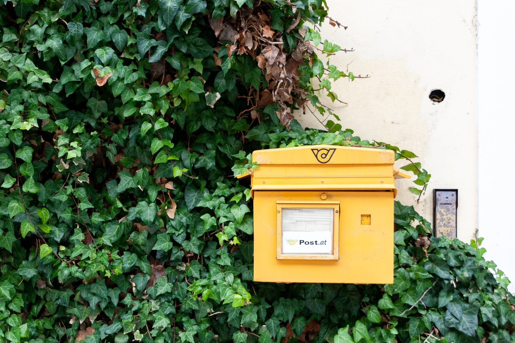 How Do Mailboxes Work: Everything to Know About Mailboxes